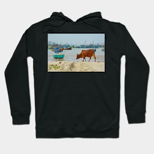 Cow on Mui Ne Beach Hoodie